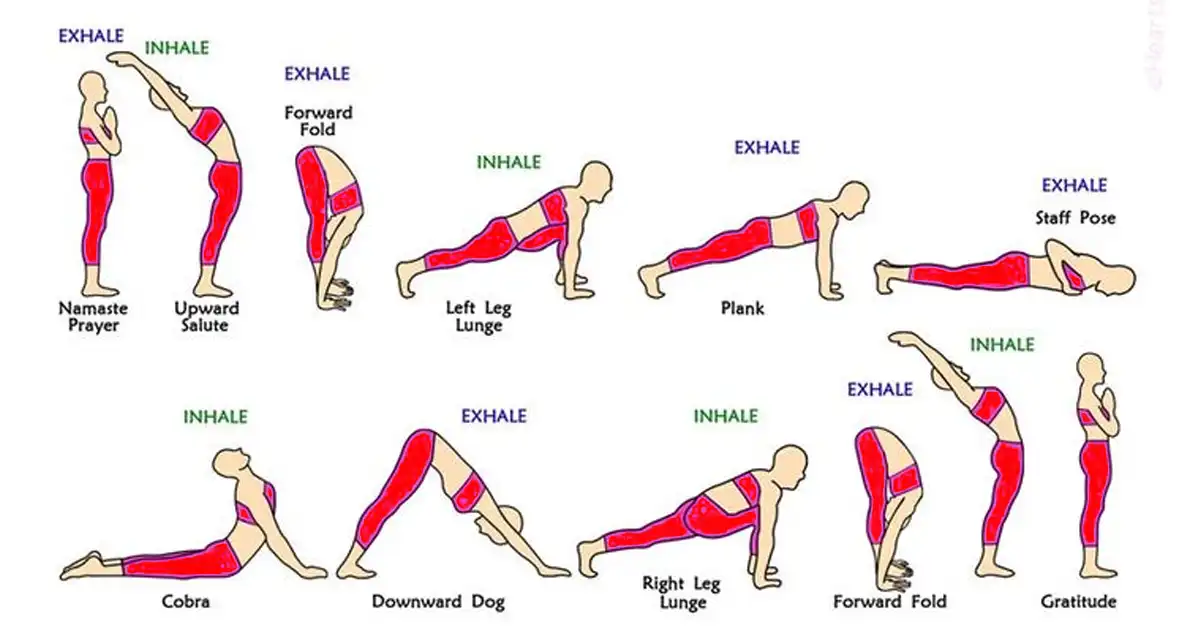 சூரிய நமஸ்காரத்தின் 12 படிநிலைகளும்