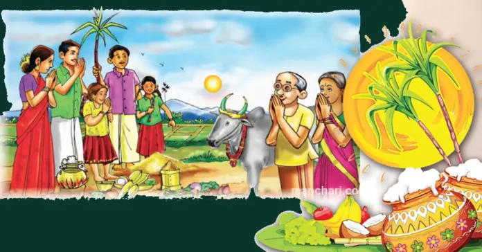 தைப்பொங்கல் பண்டிகை உழவர் திருநாள் சிறப்புக்கட்டுரை - எமது பண்பாடு